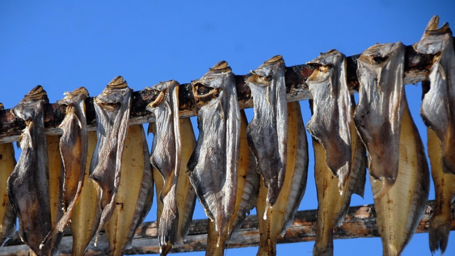 Produs tradițional din file de sturion afumat, certificat ca Indicație Geografică Protejată în UE.