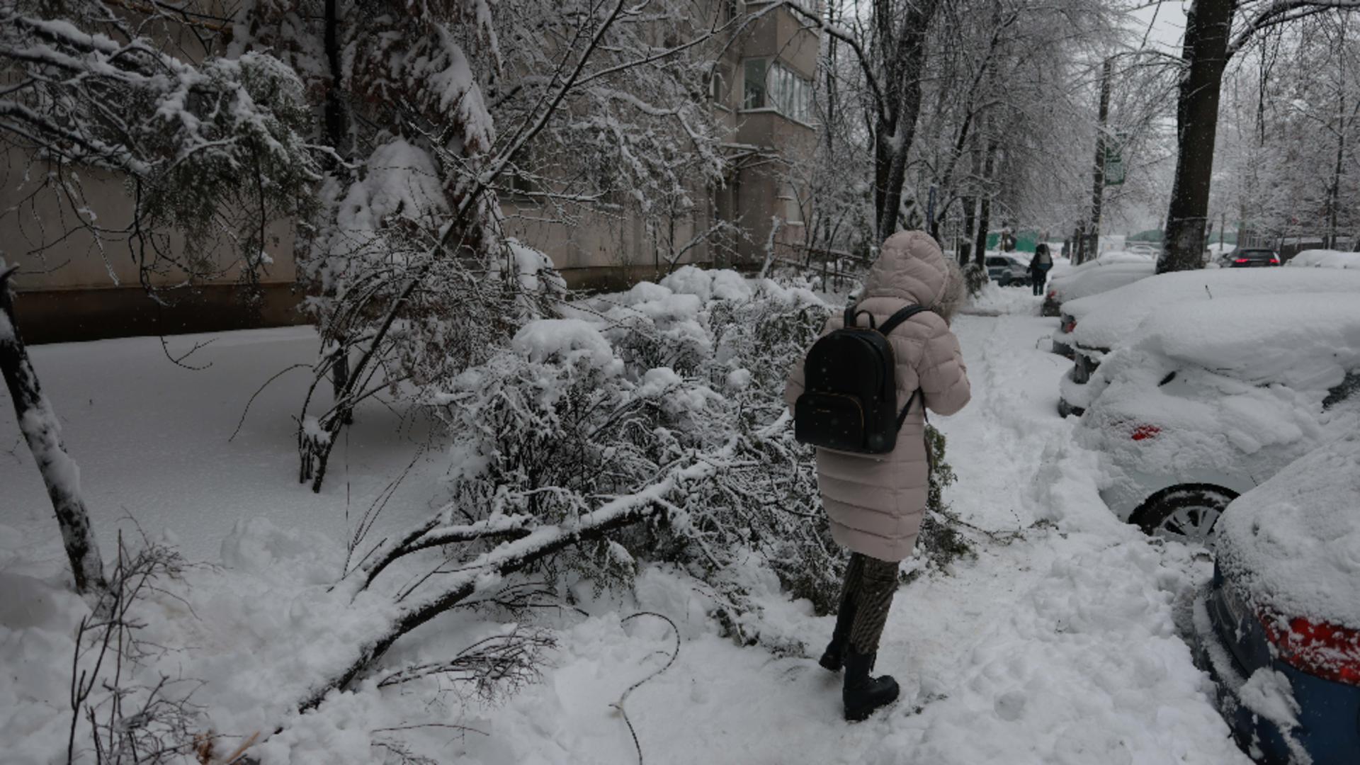 Viscolul a paralizat țara: drumuri închise, pene masive de curent și transport paralizat/ Inquam Photos / George Calin