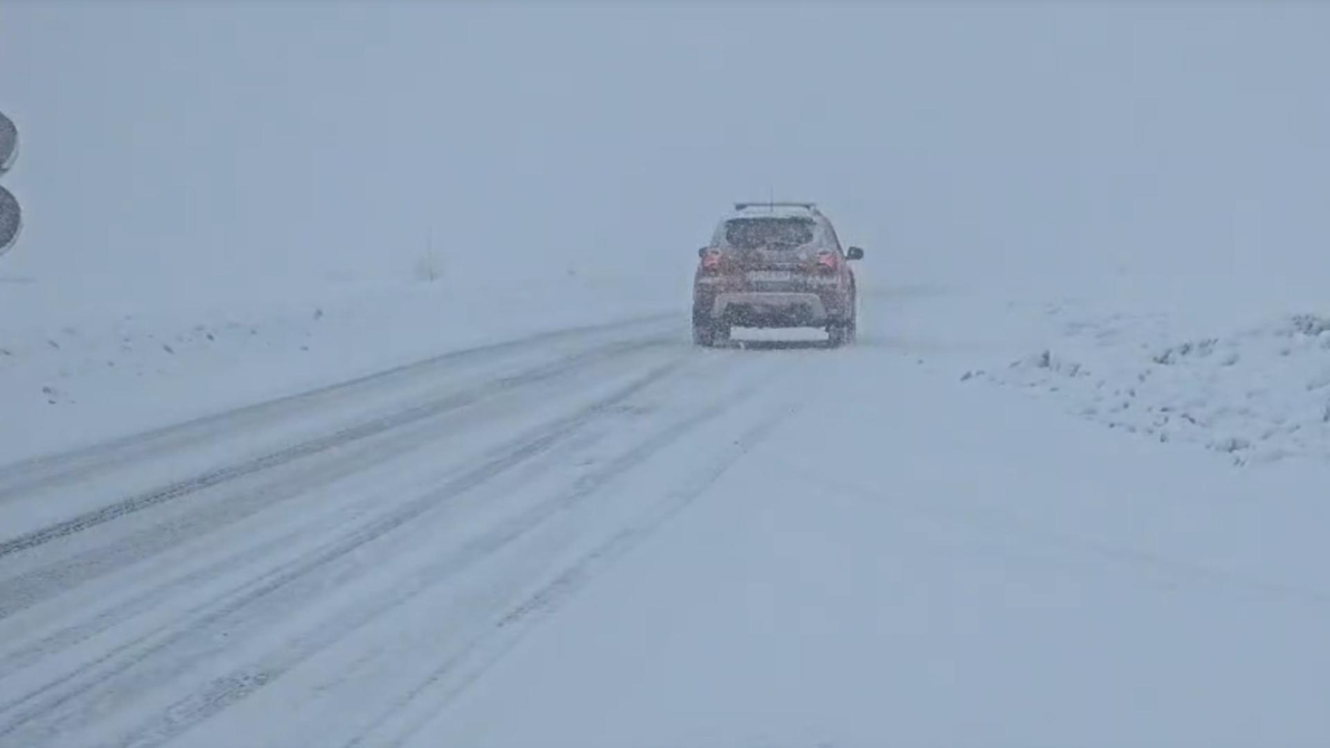 Ninsori în România