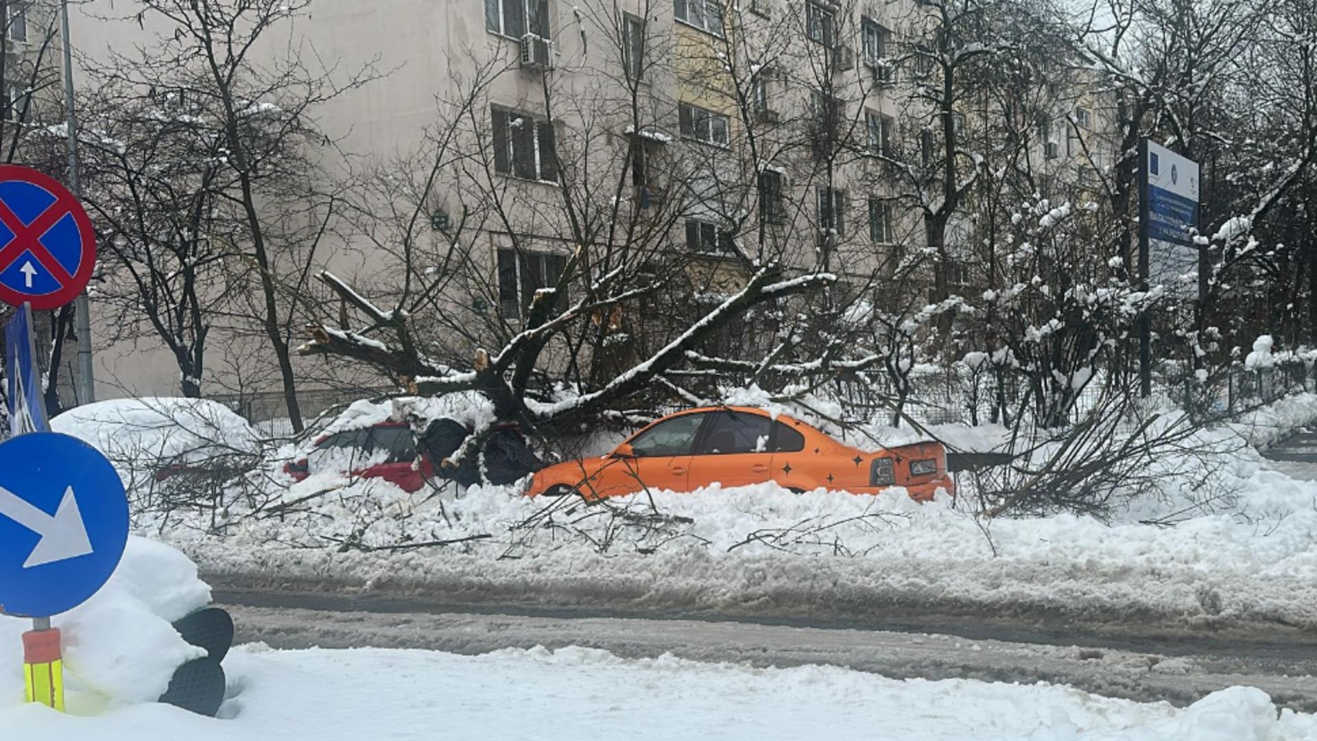 Trafic paralizat în București. Copacii au căzut peste mașinile bucureștenilor, iar autobuzele au rămas blocate în zăpadă.
