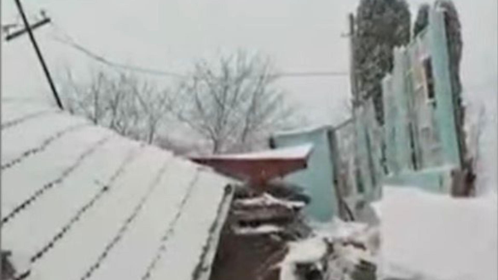 Un sat din Vâlcea s-a rupt în două. Case înghițite de pământ și zeci de familii izolate din cauza unei alunecări de teren