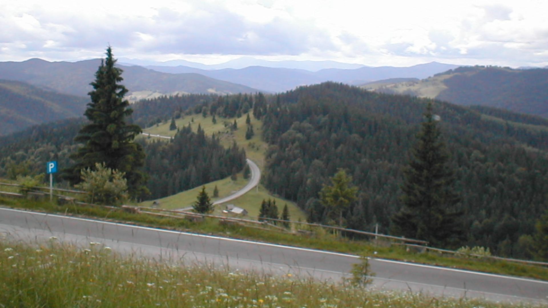 Canadienii au descoperit o adevărată comoară în Munții Apuseni