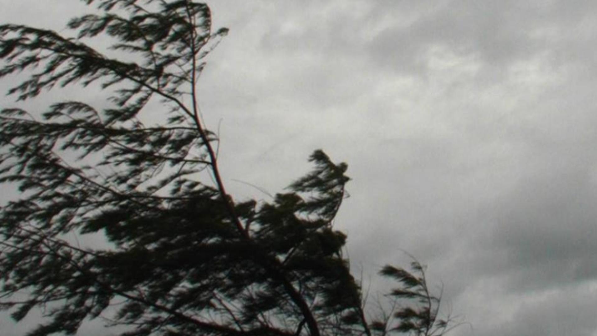 Cod galben de vânt în patru județe, emis de ANM. Rafale de până la 90 km/h în zona montană