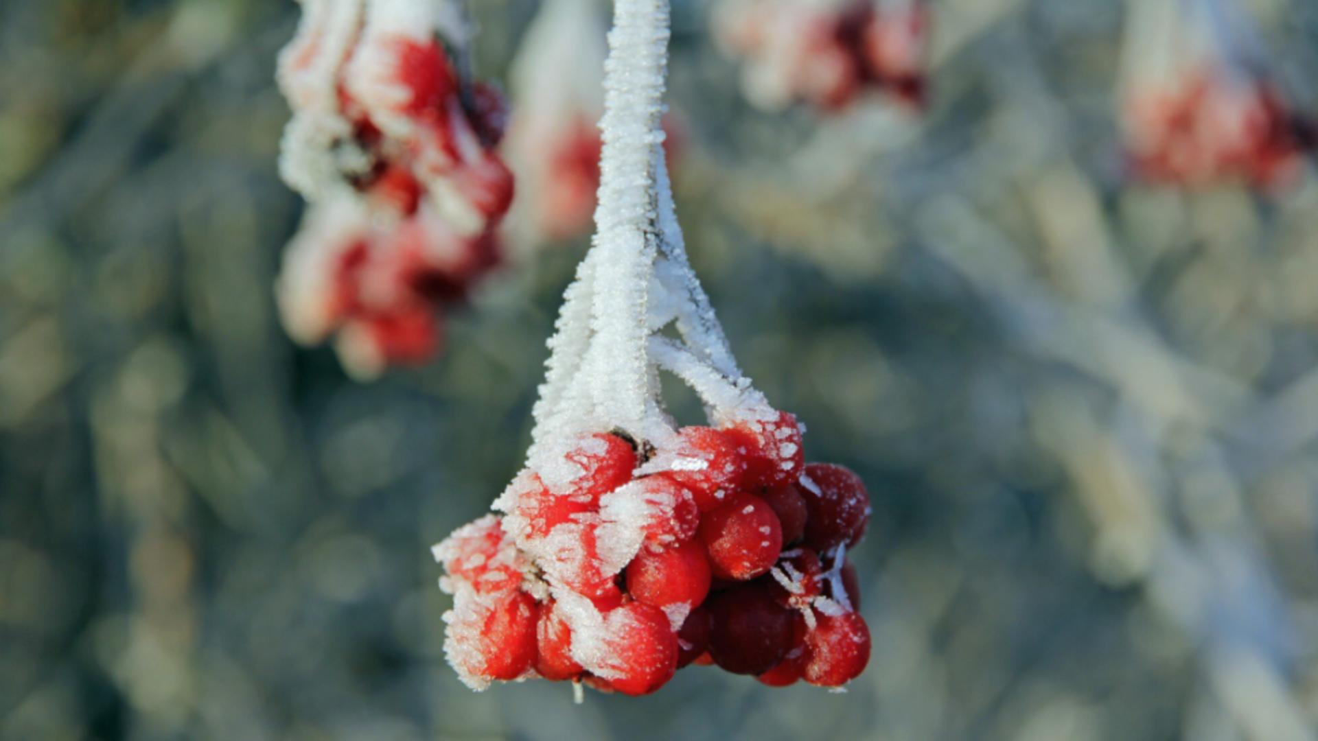 Europa, avertizată de un calendar vechi de secole