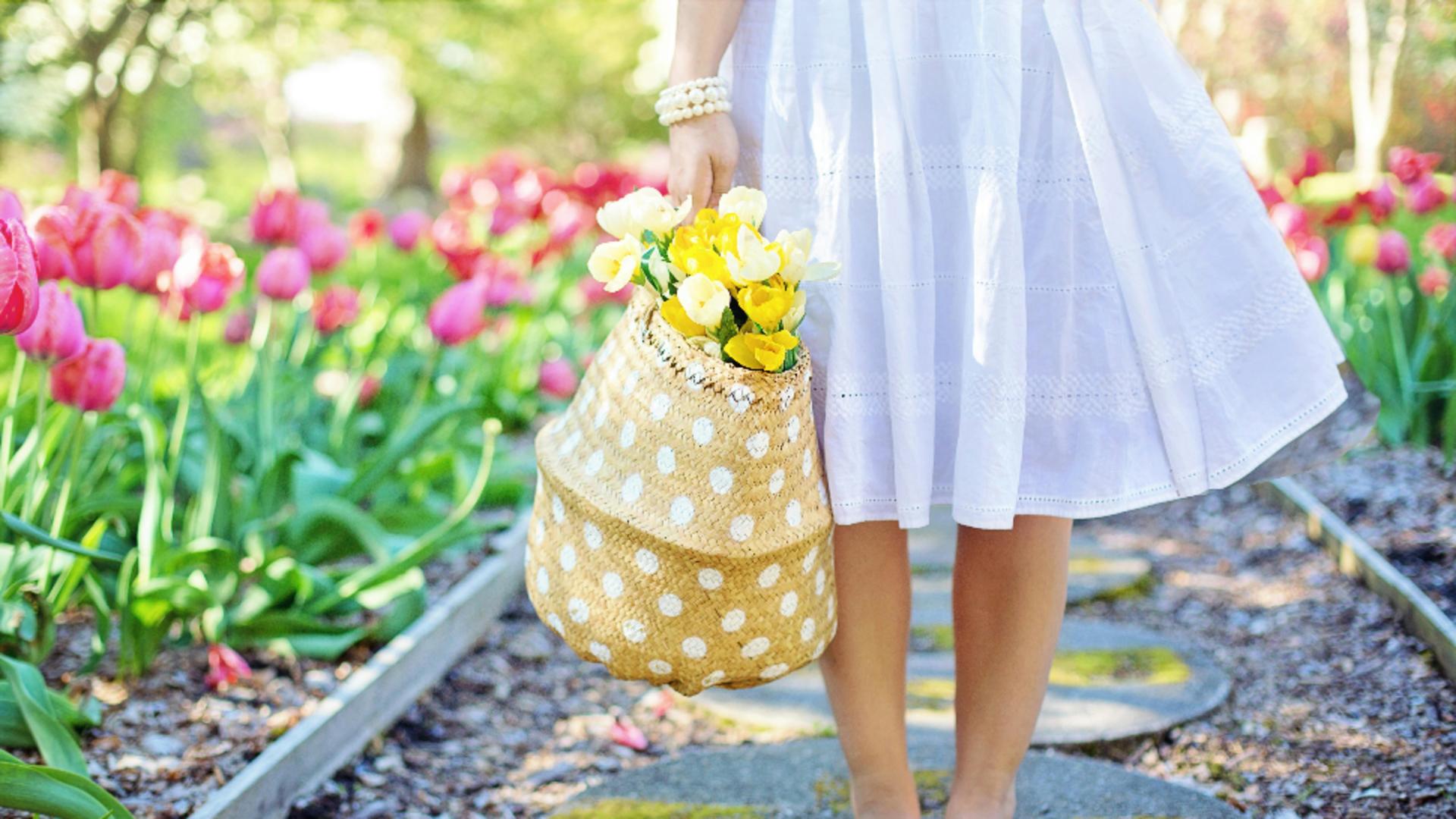 Zodiile norocoase începând cu 1 martie 2026. Destinul li se poate schimba definitiv