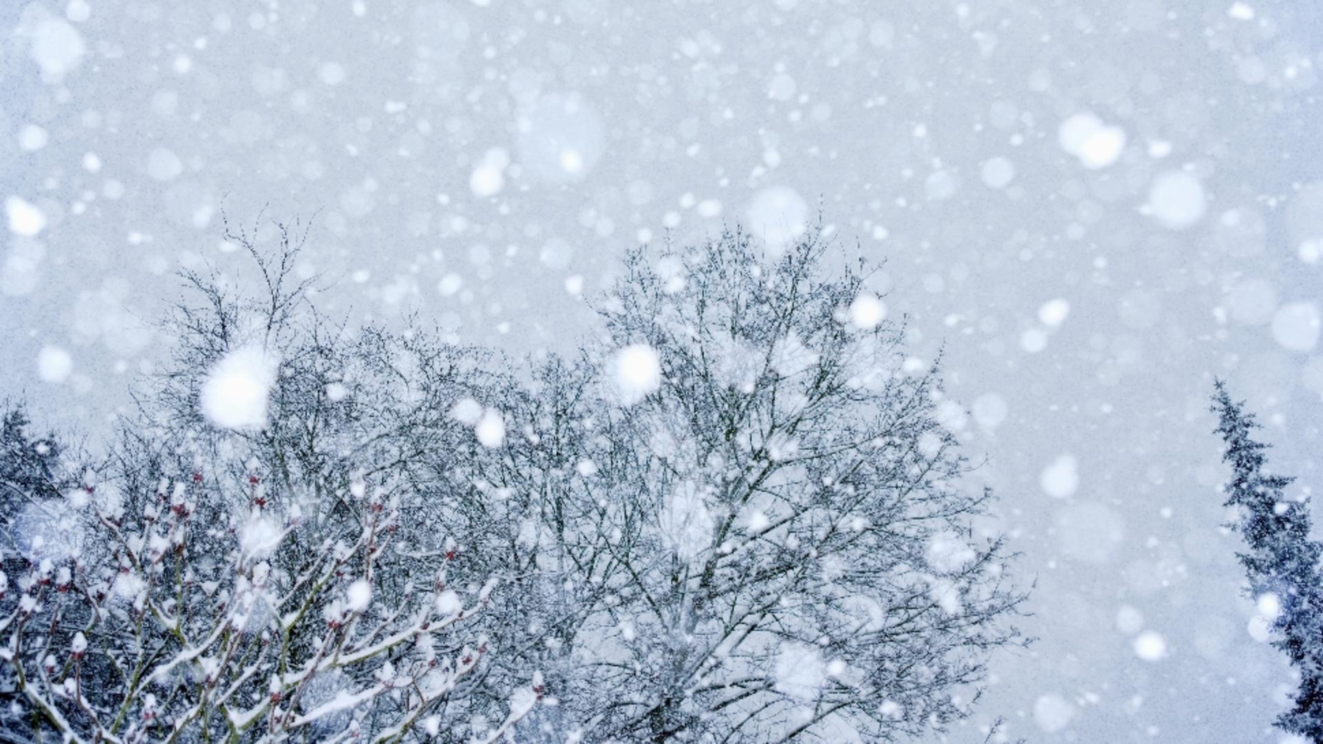 Iarna revine în forță: ninsori și ger până joi. Anunțul de ultimă oră al ANM/ Profimedia