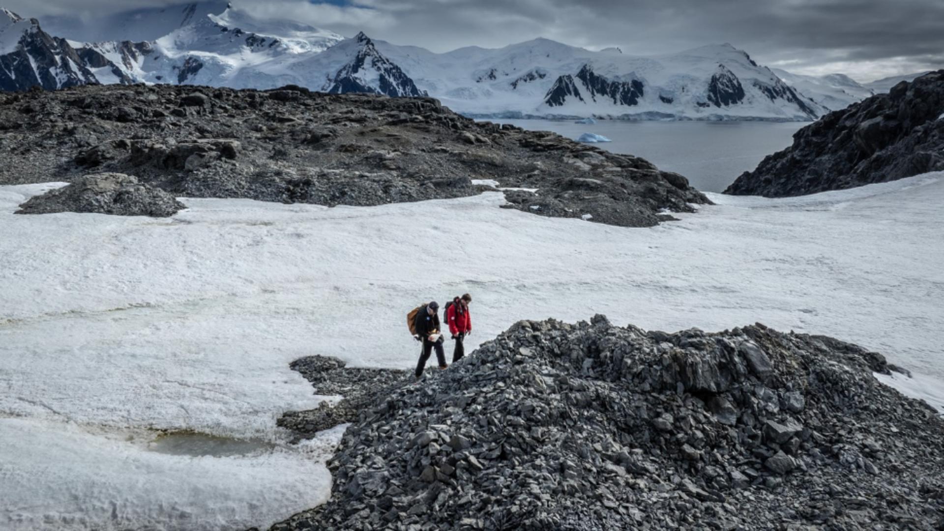 Antarctica. Foto: Profimedia