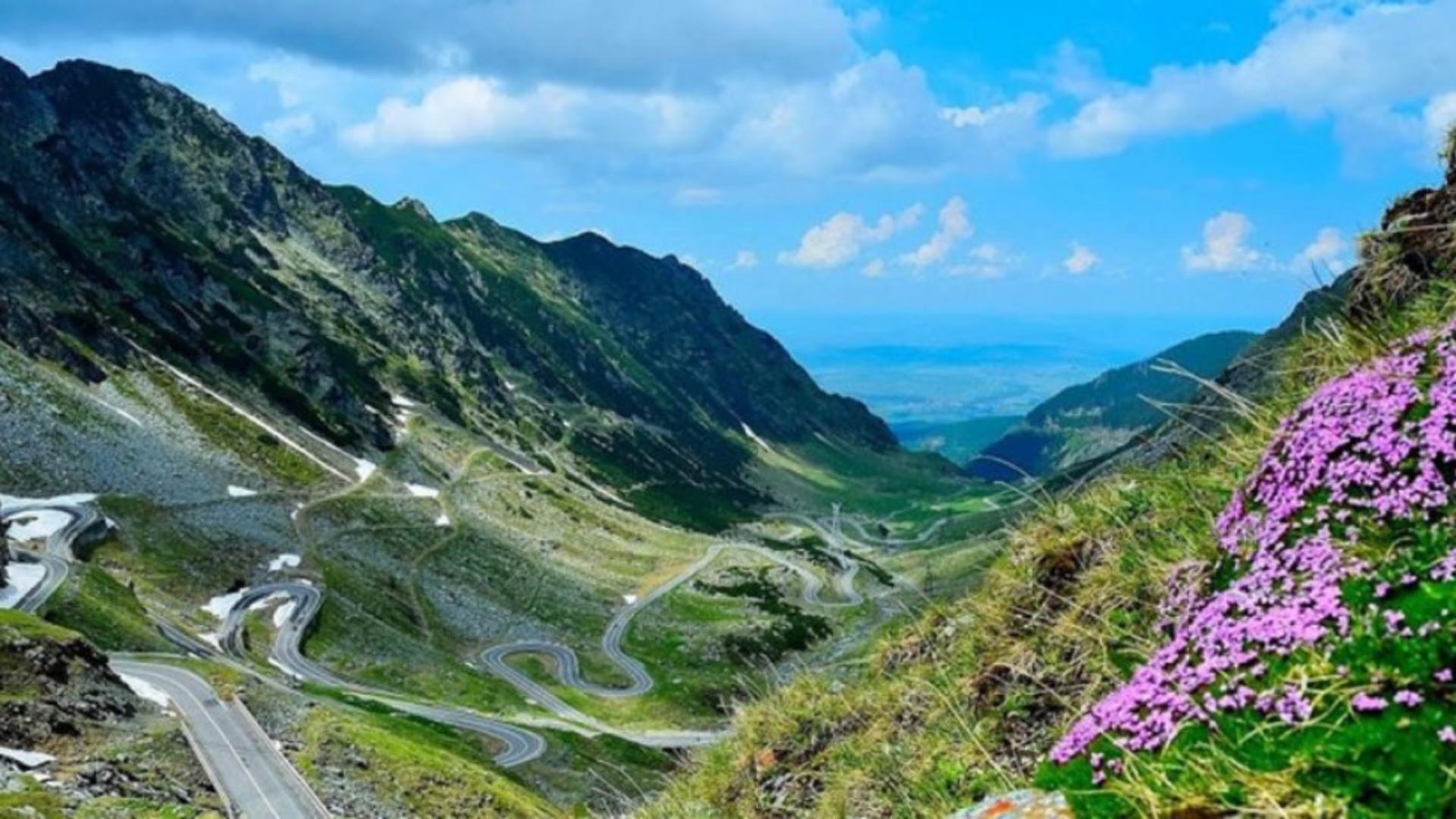Transfăgărășan