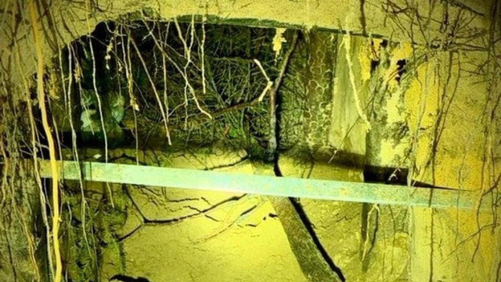 Rusia trimite migranți în Polonia prin tuneluri secrete. Foto: X