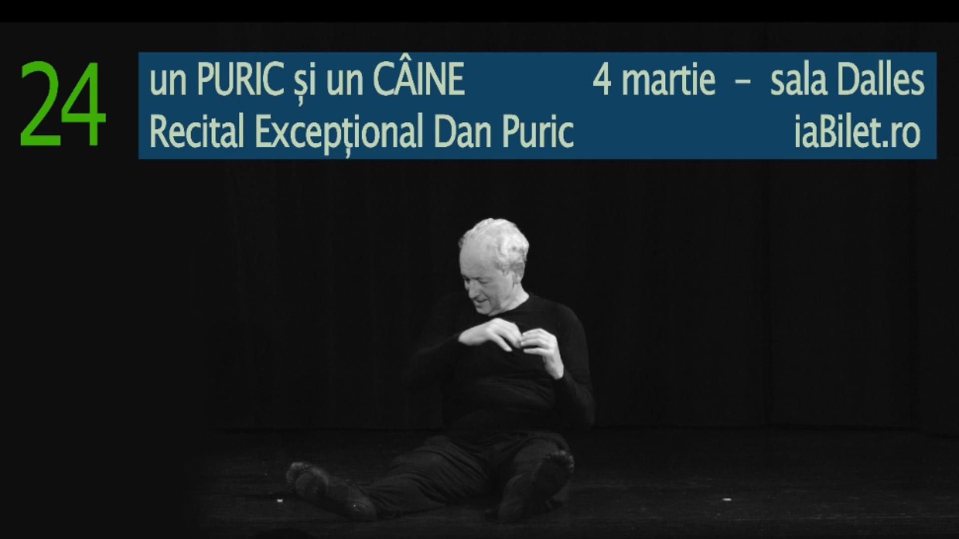 Spectacol Dan Puric