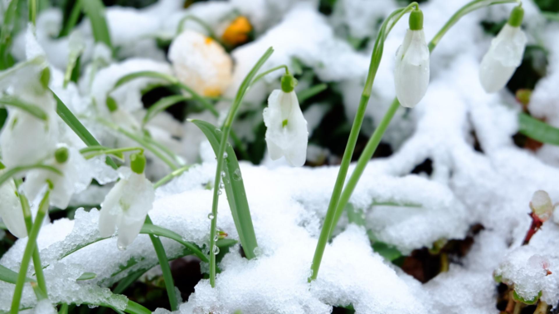 Un nou șoc termic vine peste România