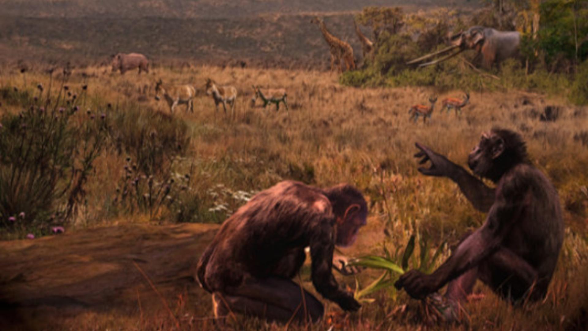 Imagine recreată digital 