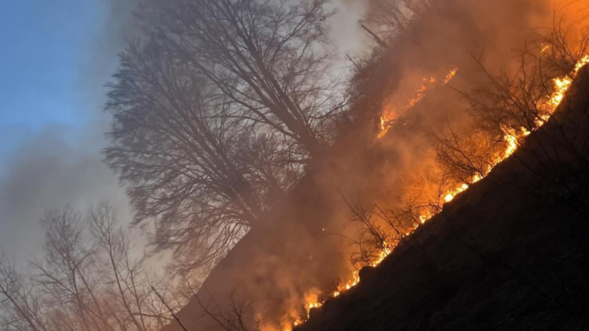 Zeci de incendii de vegetație în Bihor. Un om a fost găsit carbonizat.