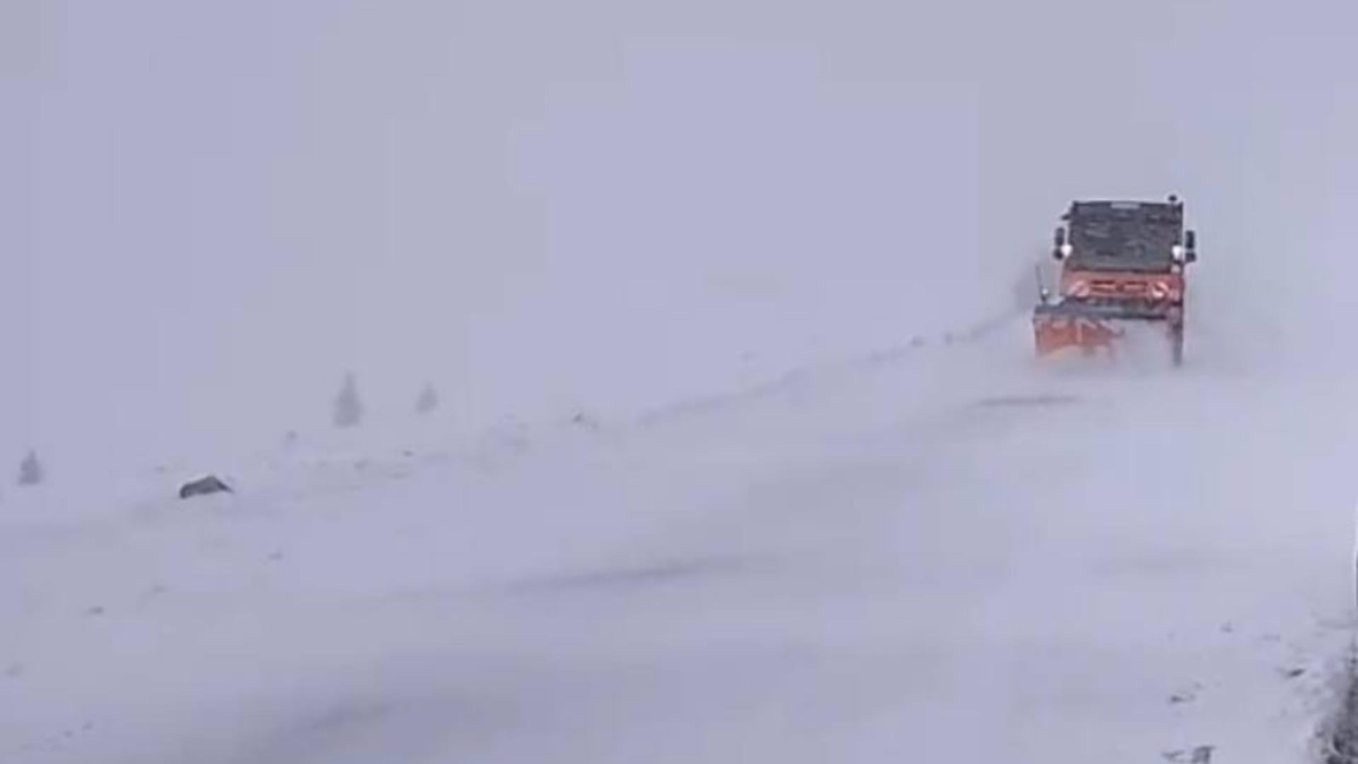 Ninsori în România