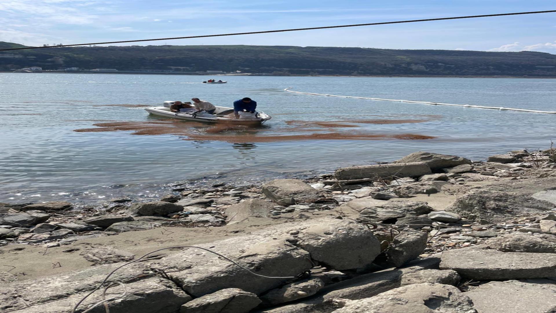 Poluare accidentală pe Dunăre, la Turnu Măgurele. Alimentarea cu apă a orașului, oprită preventiv/ Foto: Apele Române Facebook