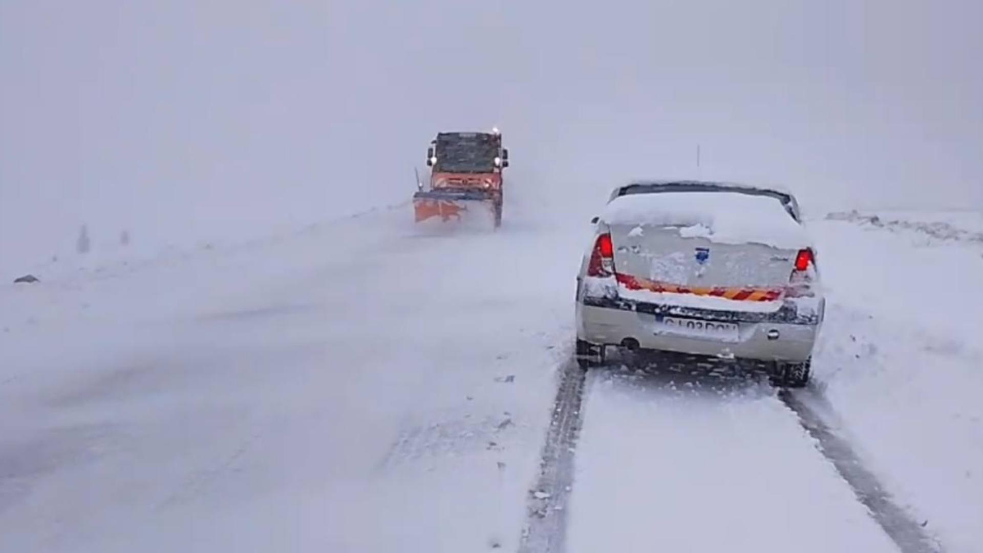 Ninsori în România