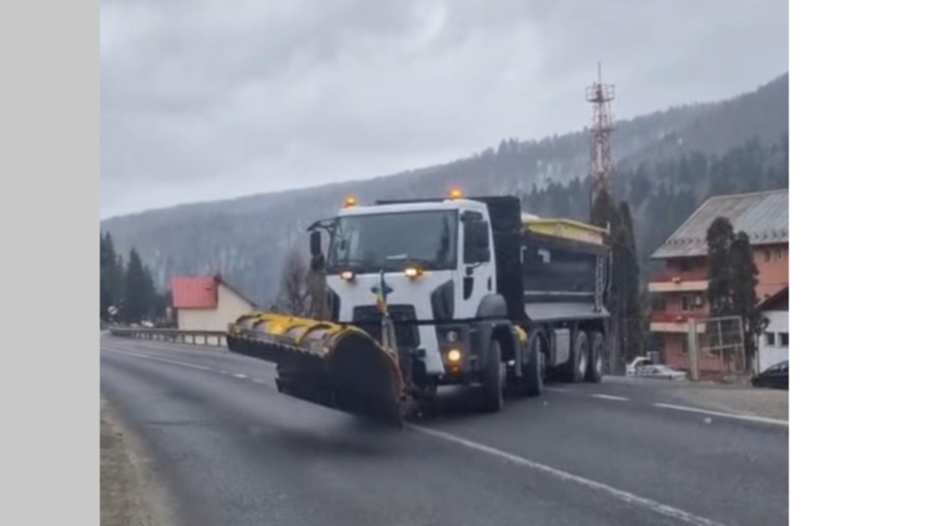 Ninge din nou în România