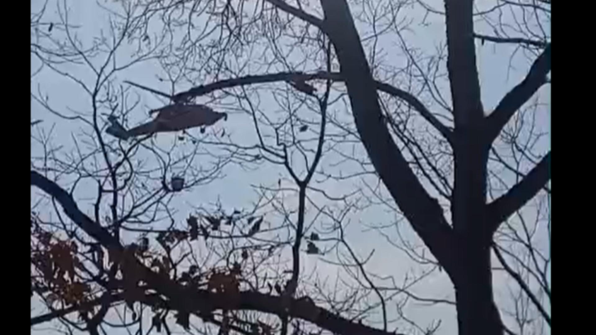 Intervenție spectaculoasă din aer