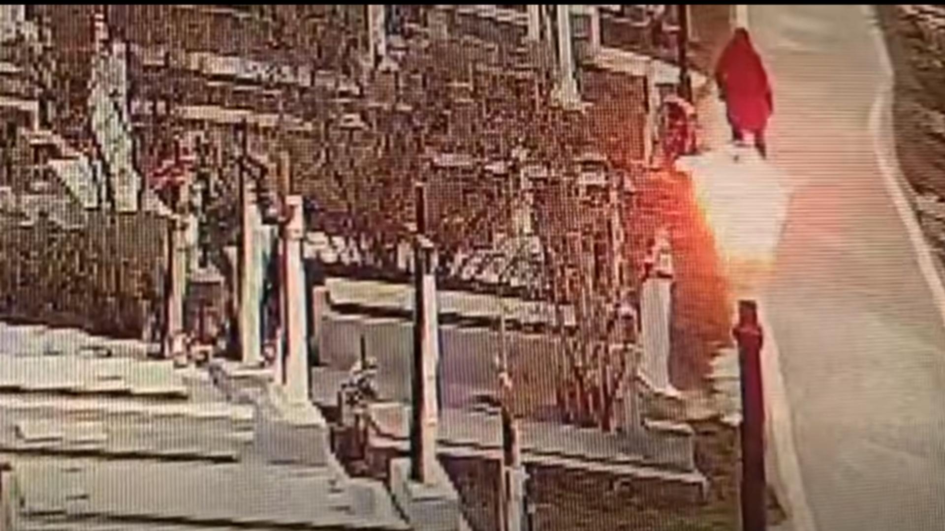 Polițiștii au identificat persoana care a vandalizat mormântul lui Ilie Balaci. 