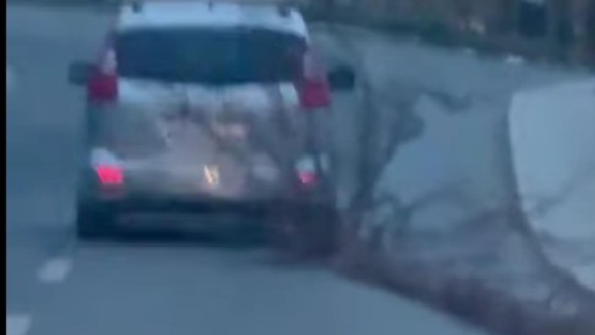 Copac târât pe șosea