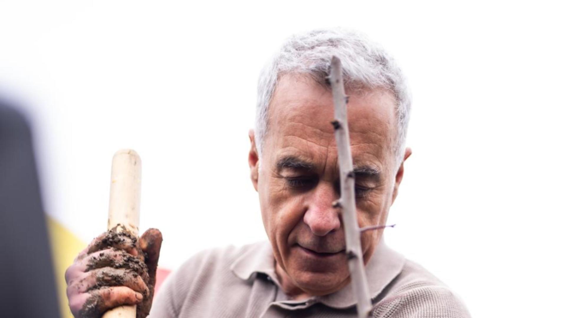 Călin Georgescu la campania de plantare de la Fierbinți (foto: Bogdan Chircan)
