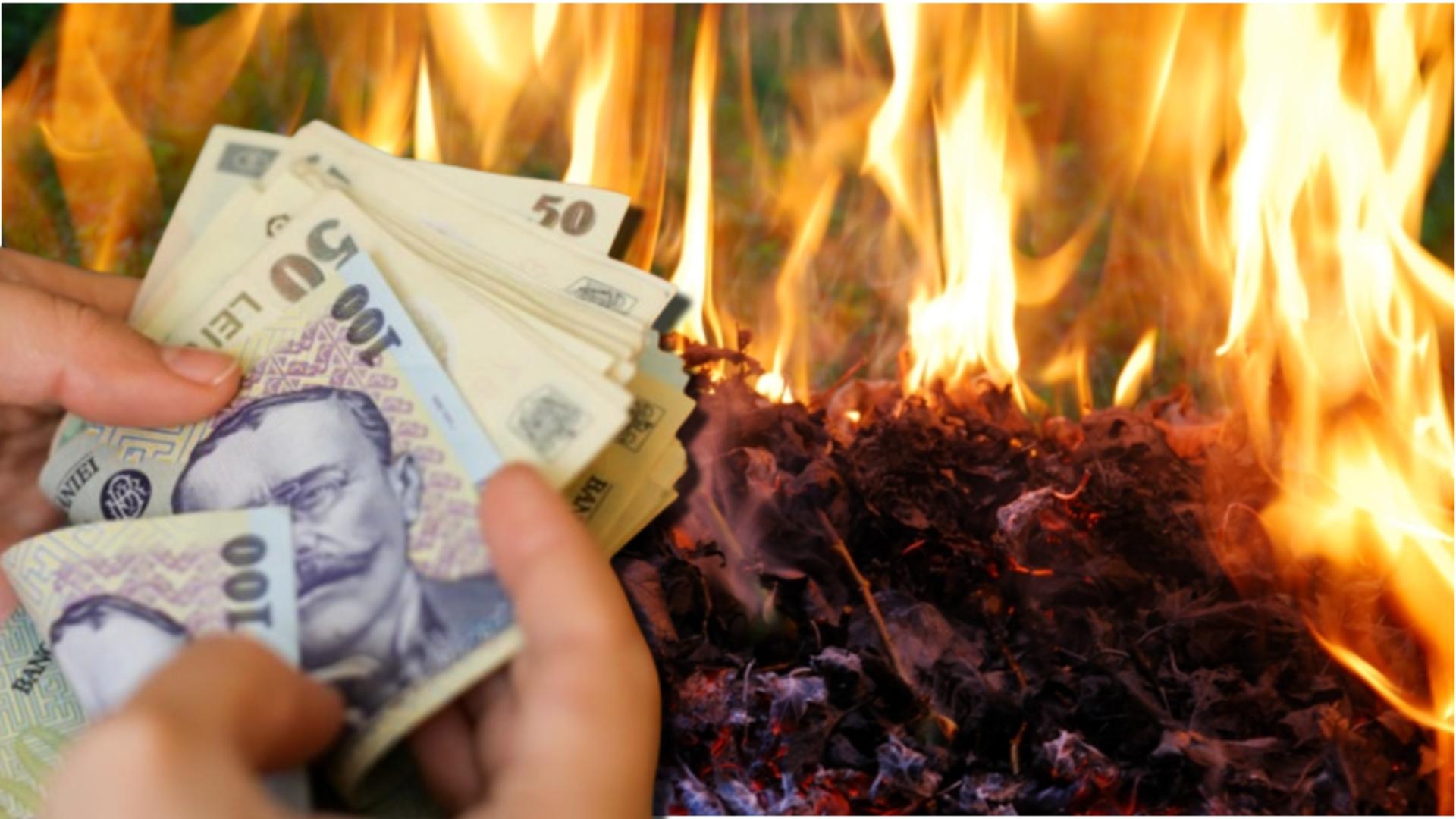 Amenda colosală pe care o riști dacă dai foc frunzelor și resturilor vegetale