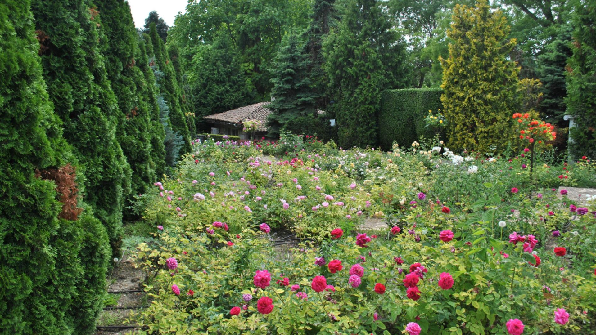 Ce flori și legume se plantează în aprilie. Sfaturi de la specialiști