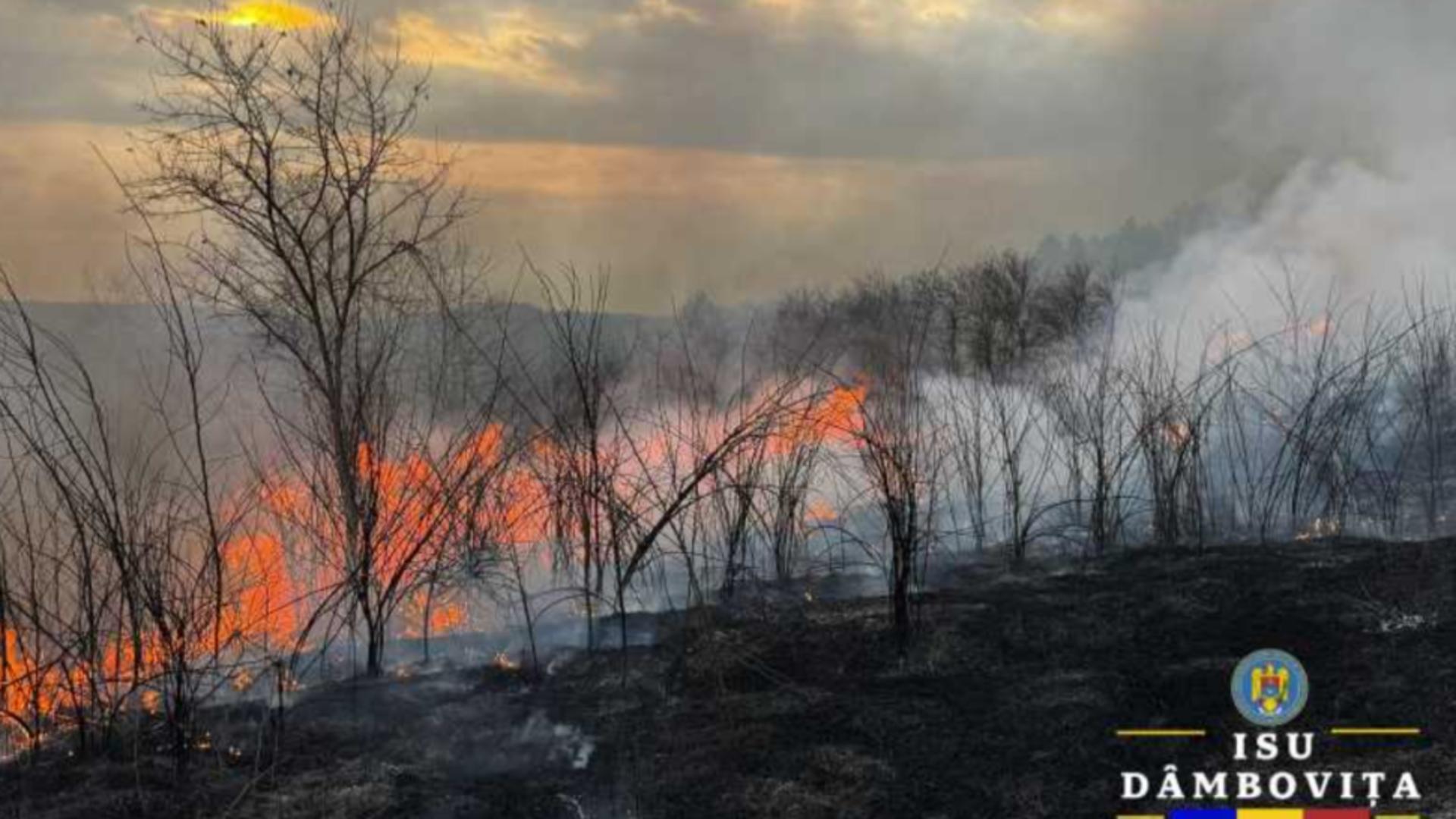 Incendiu de vegetație uscată în județul Dâmbovița. FOTO: ISU 