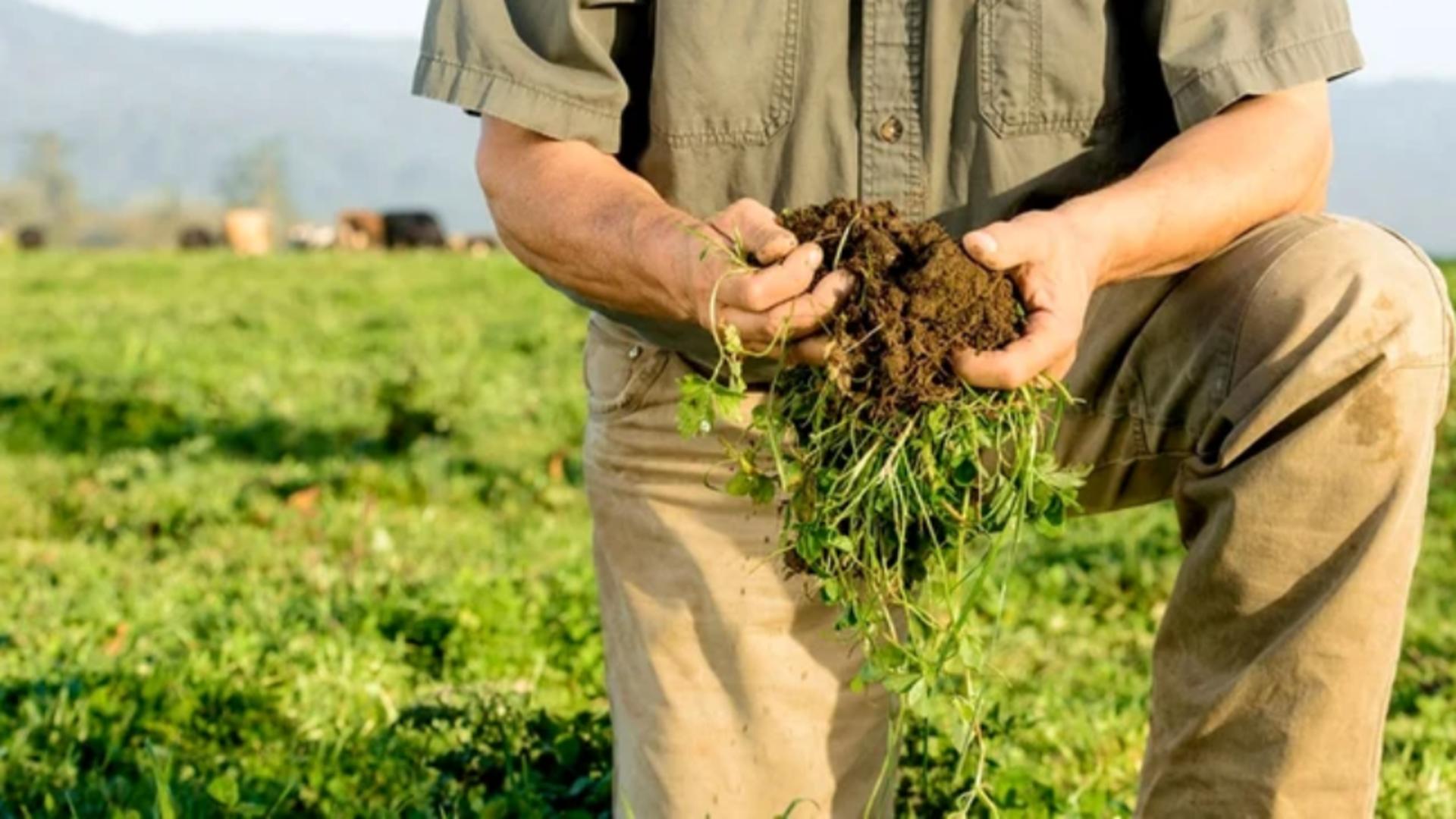 Agricultorii cer demisia guvernanților.