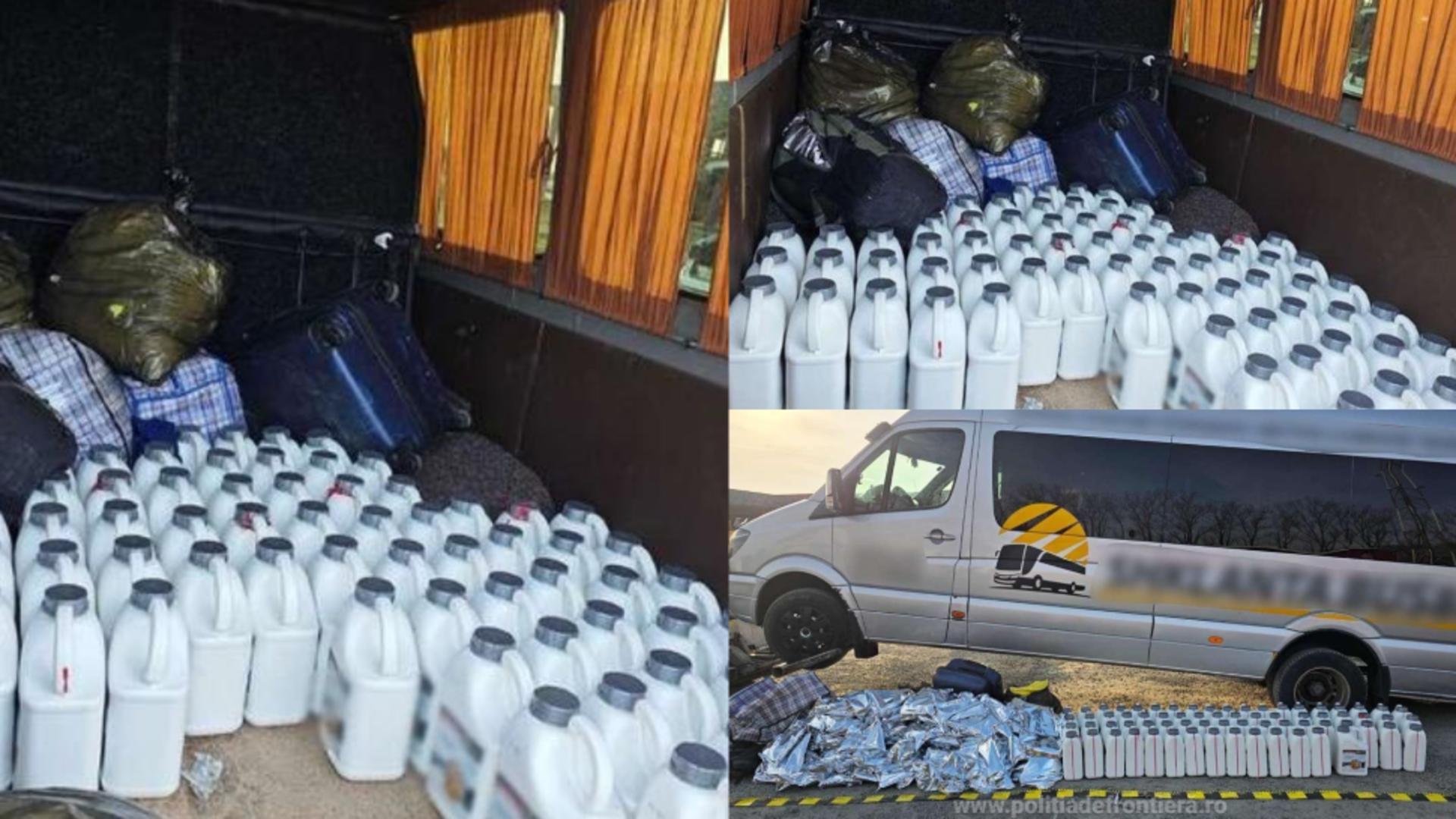 Captură record în Satu Mare