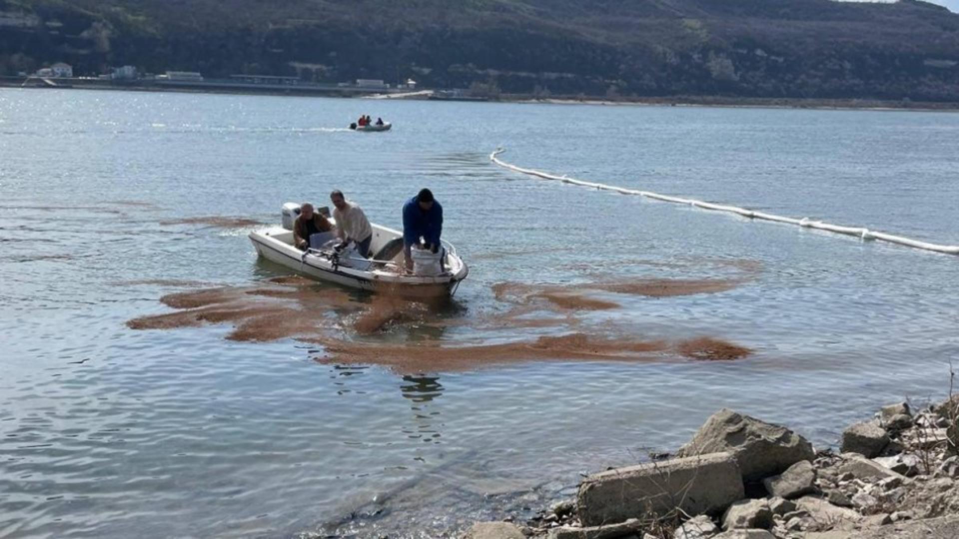 Echipele de intervenții au împărțit substanțe de anihilare