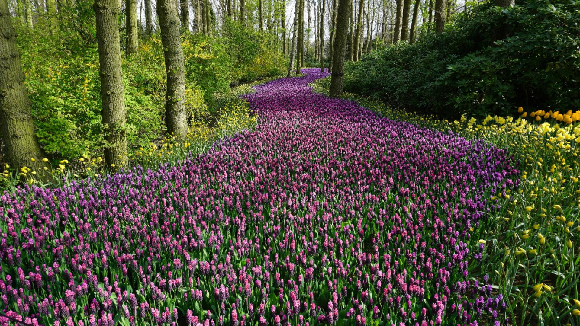 Zodiile care vor începe luna aprilie cu dreptul. Oportunități financiare și reușite total neașteptate