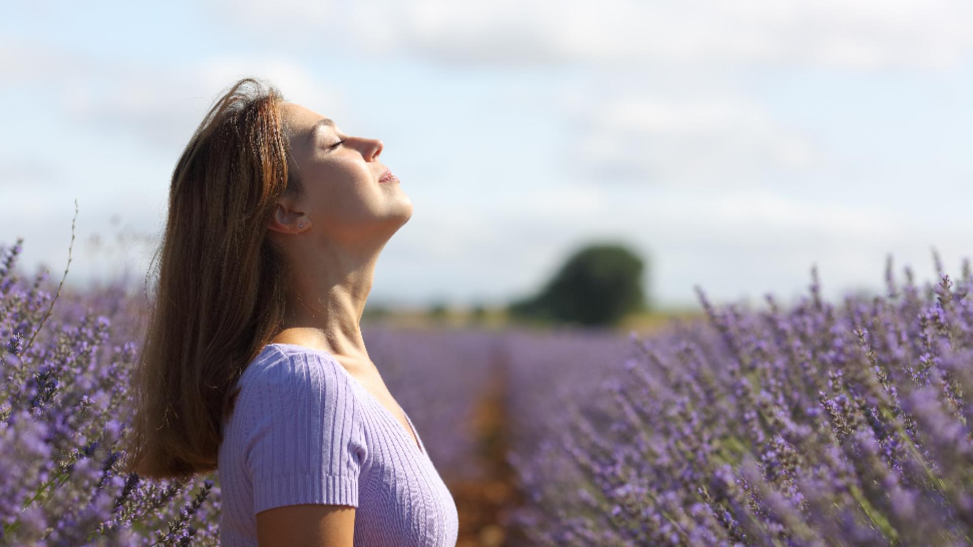 România, departe de standardele OMS privind calitatea aerului. Doar 13 țări din lume respiră aer curat/ Profimedia 