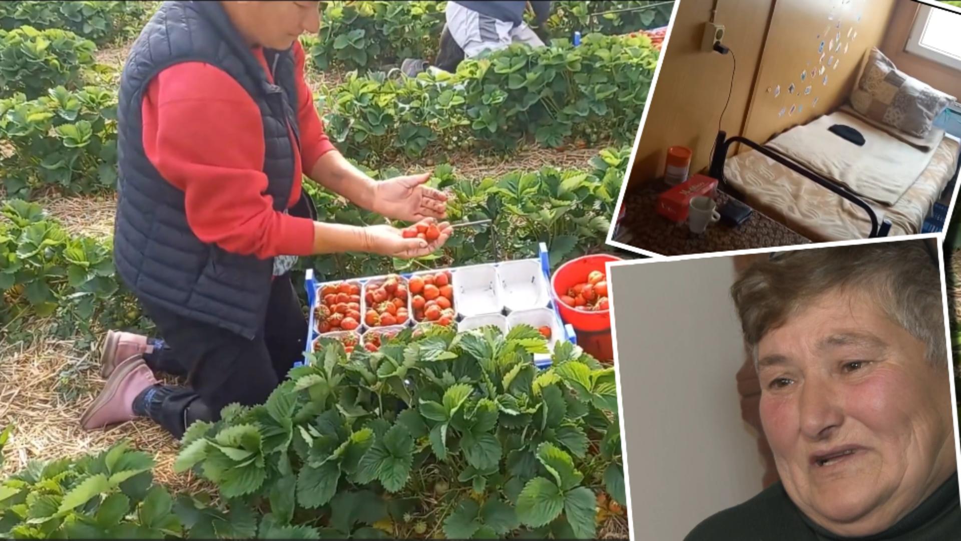 Drama românilor plecați la muncă peste hotare, mărturii sfâșietoare