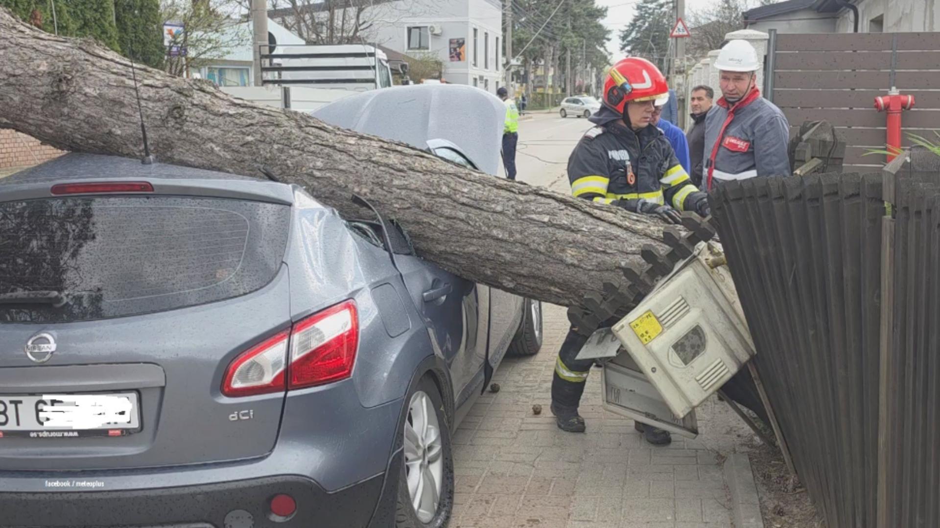 Vântul a făcut prăpăd la Iași. Copaci căzuți peste mașini și locuințe, intervenții în lanț ale pompierilor - FOTO/VIDEO