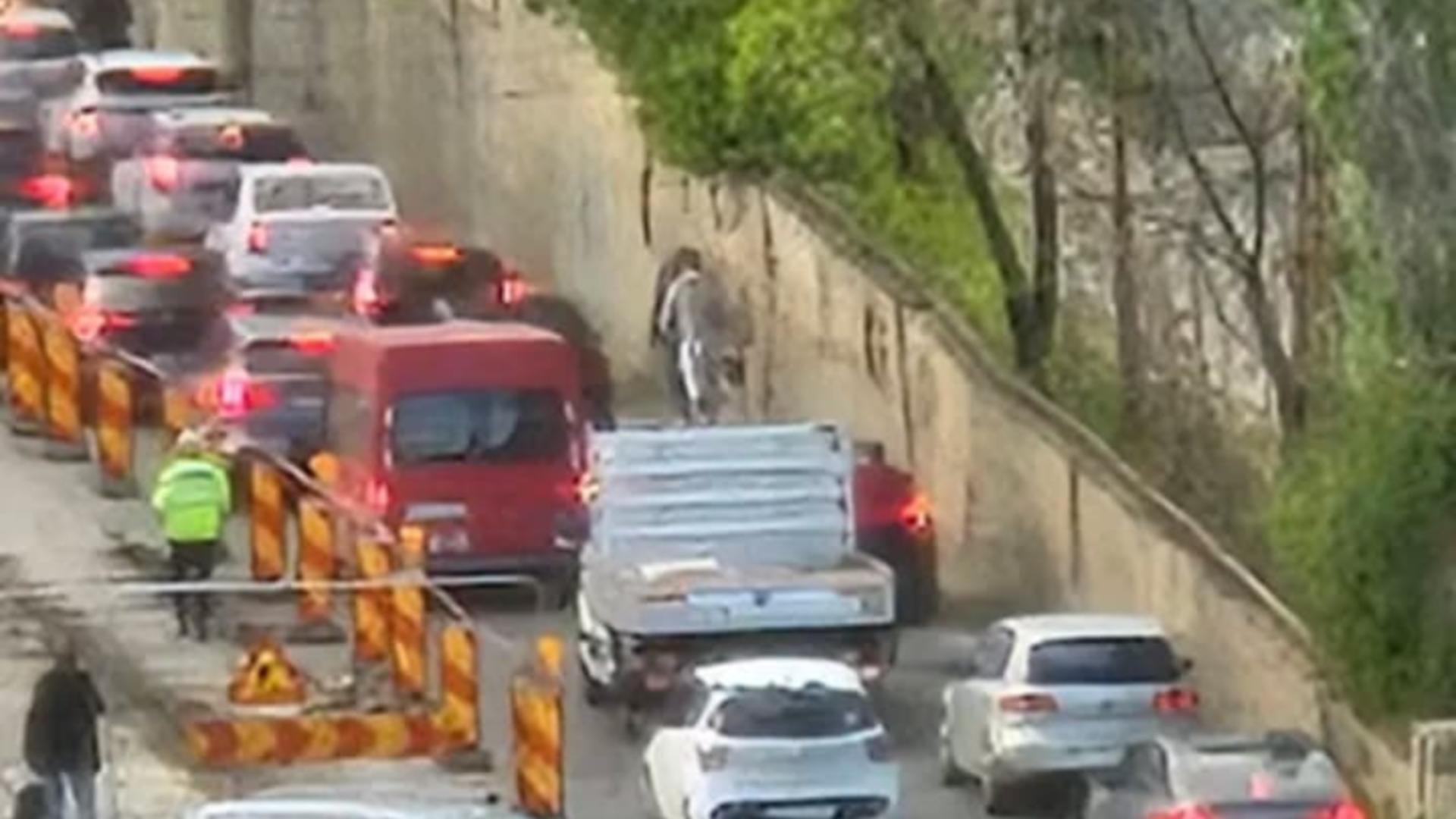 Incident la metrou. Foto: Mihail Tudose (sursă foto: Facebook)