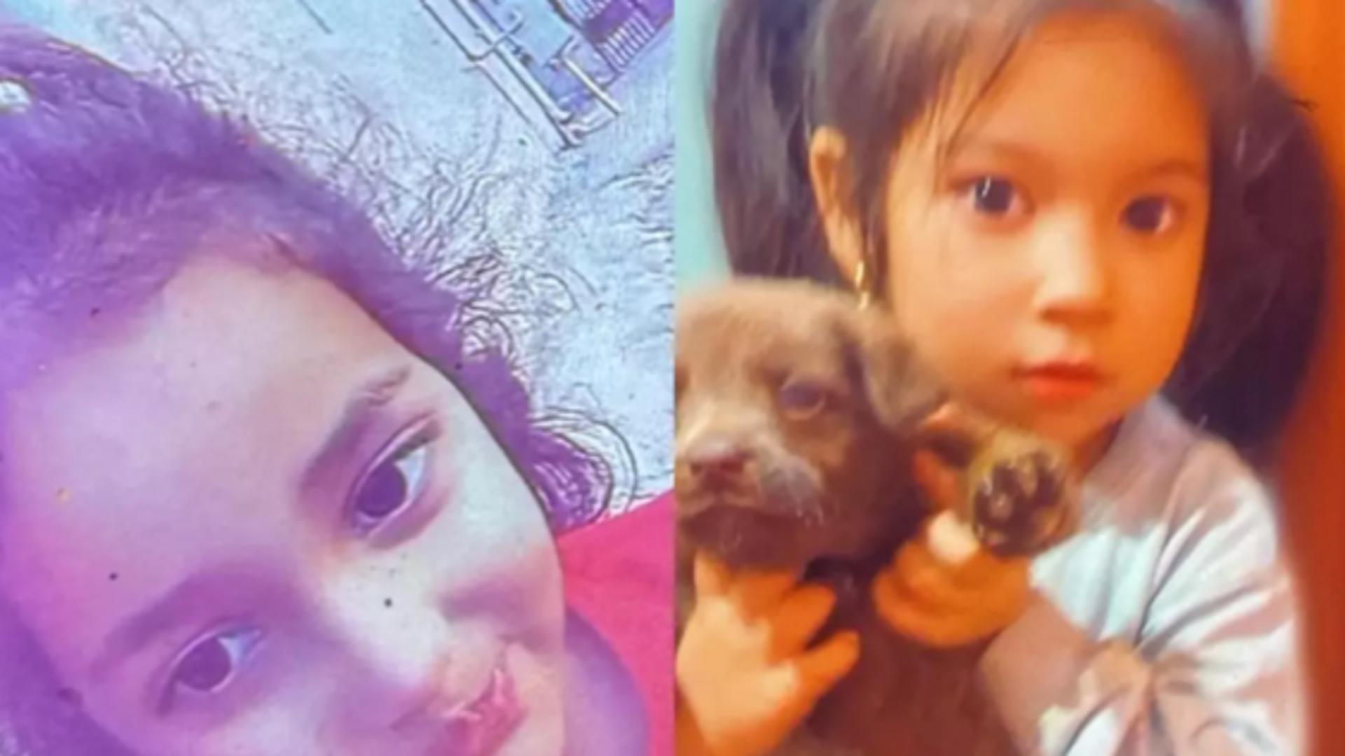 Ancheta se extinde în cazul fetițelor dispărute din Mureș: Poliția a sesizat Protecția Copilului