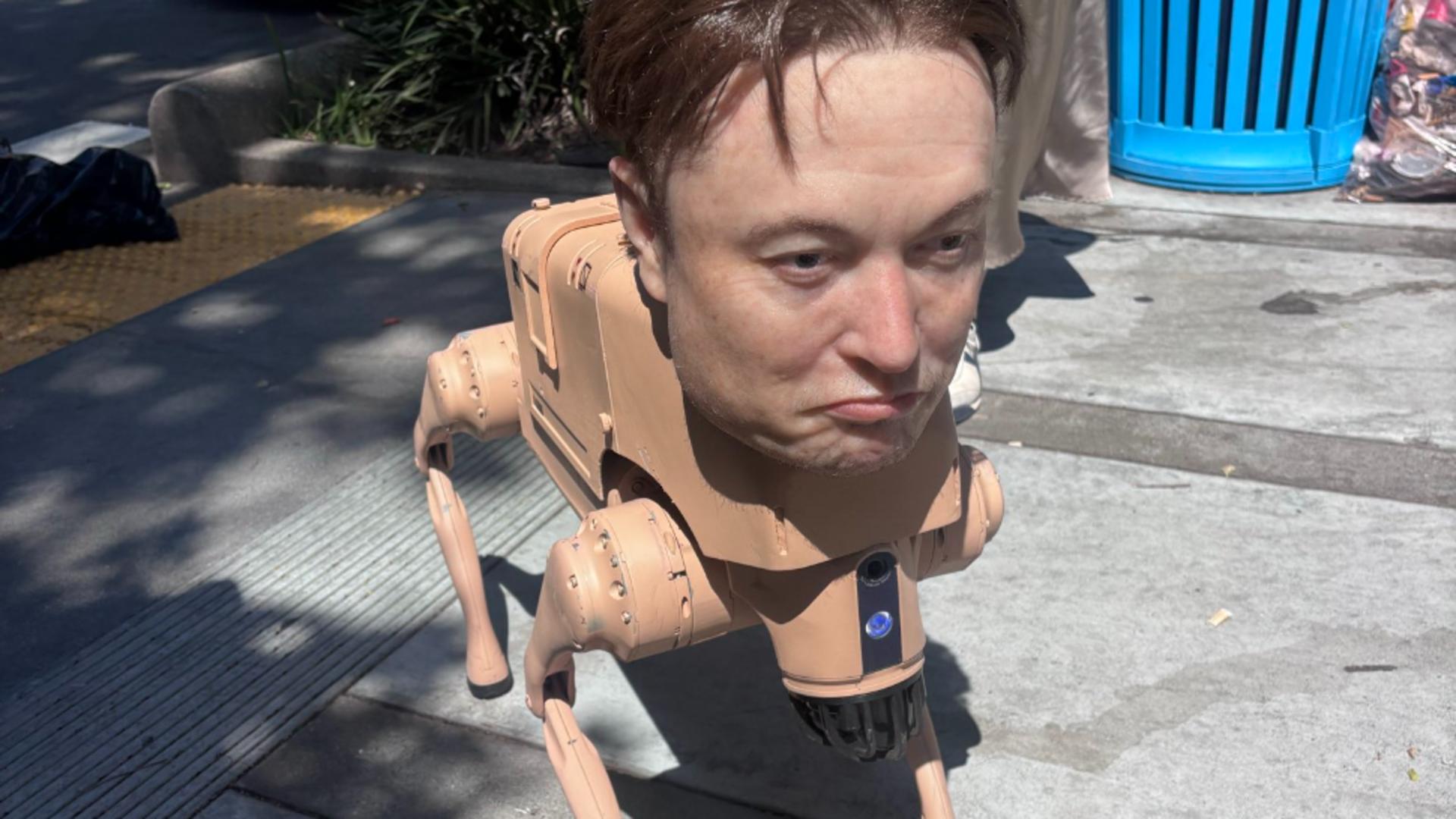 Robo-câinele cu fața lui Elon Musk. Foto: X