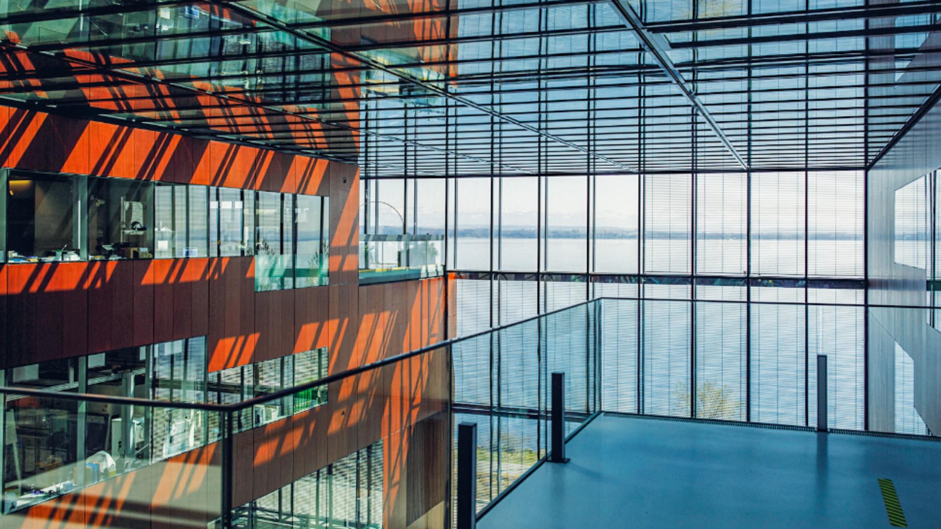 Philip Morris International prezintă Raportul de valoare pentru anul 2025: „Schimbarea în mișcare”. Creștere la nivel global și extinderea categoriei alternativelor fără fum pe piața din România