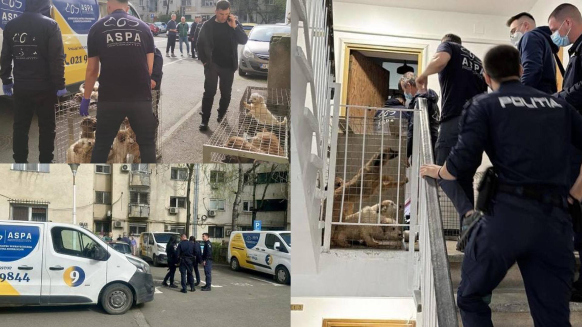  Descoperire șocantă într-un apartament din București. FOTO: ASPA