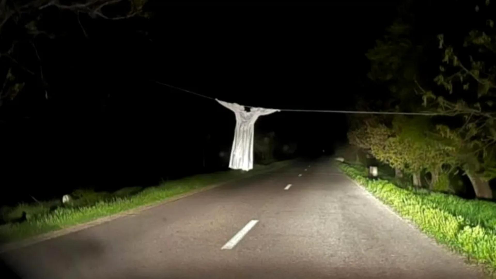 „Fantoma” de pe drumul din Călărași care a alertat șoferii. 