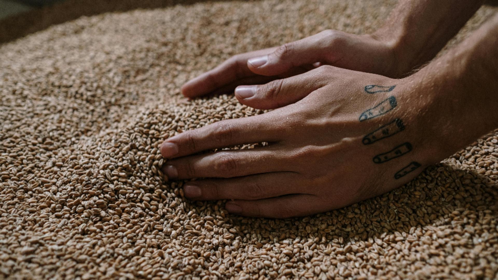 Cea mai sănătoasă cereală. Aproape nimeni nu o consumă, deși este bună pentru inimă și oase