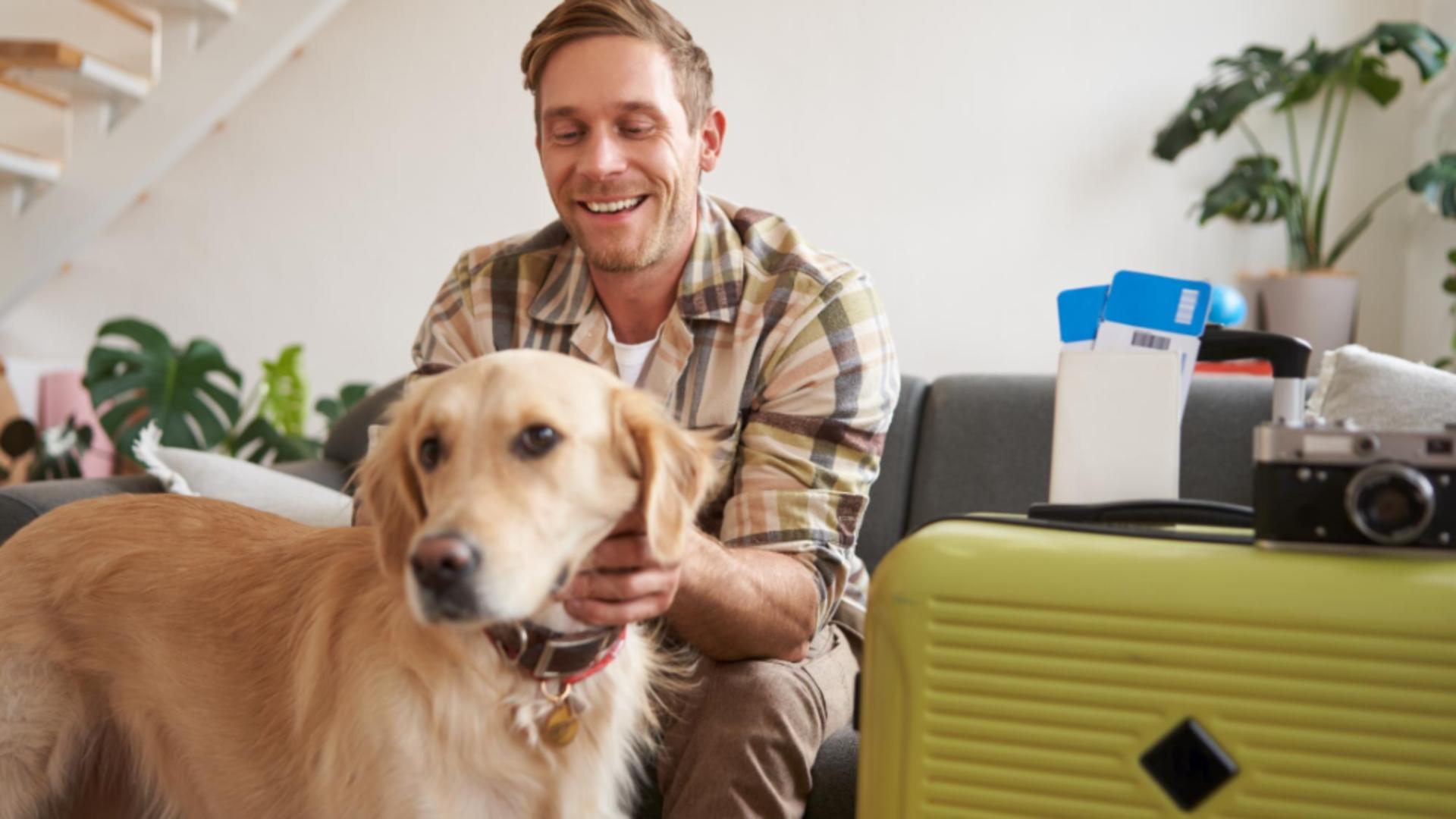 UE schimbă regulile pentru animalele de companie în călătorii