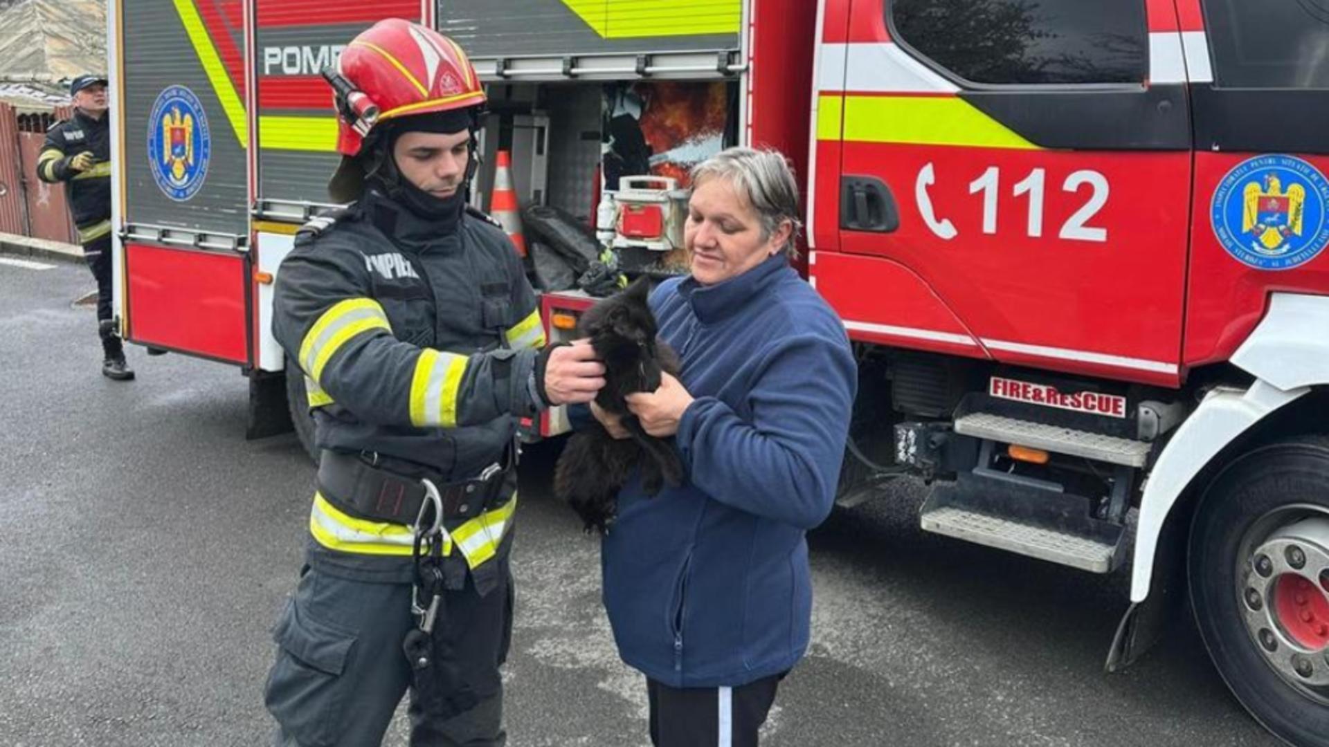 Pisică rămasă blocată la 12 metri înălţime, într-un brad