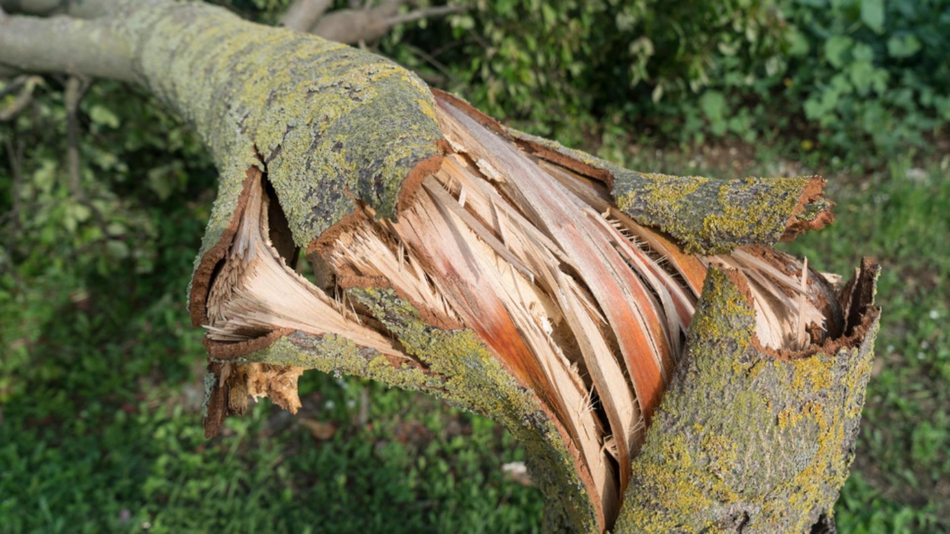 Furtună Italia/ Arhivă Profimedia