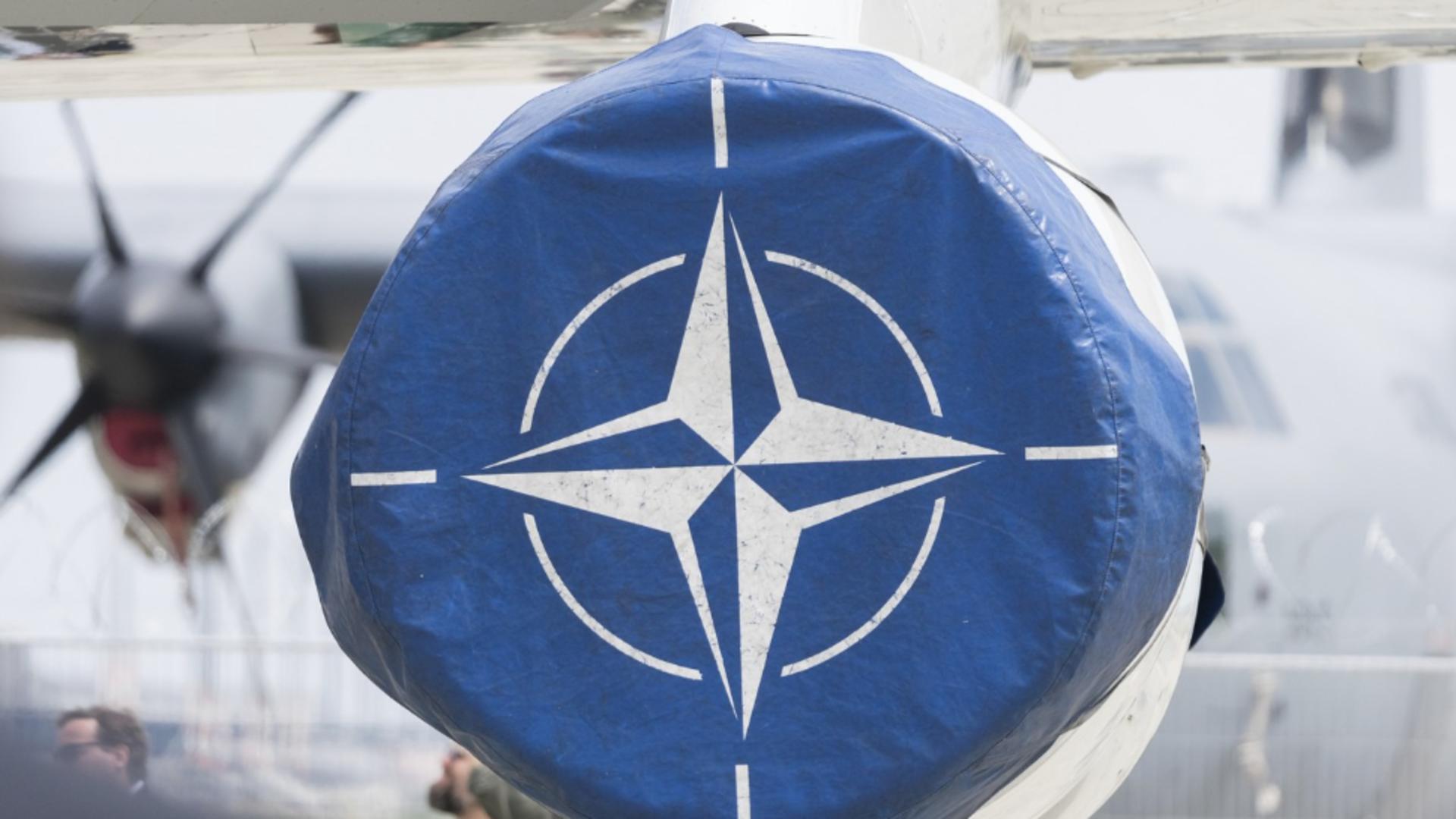 Țara care vrea să ia locul SUA în NATO. Foto: Profimedia