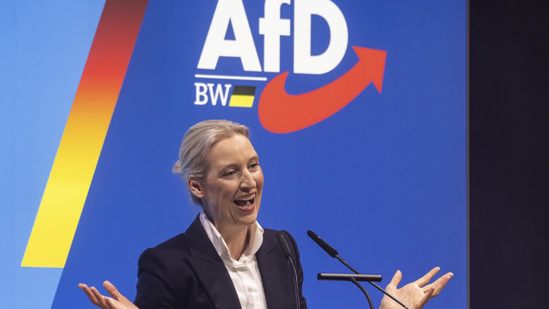 AfD. Foto: Profimedia