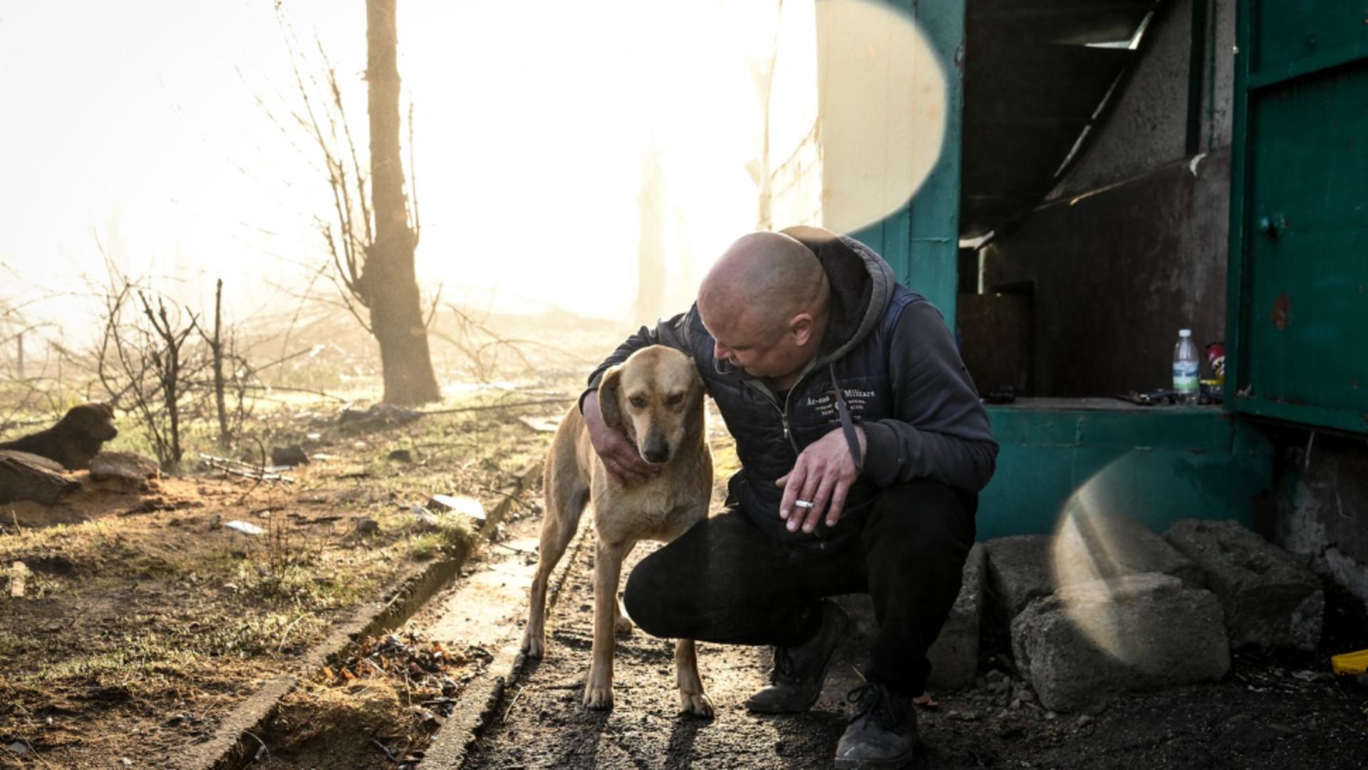 Câine din zona frontului (Profimedia)