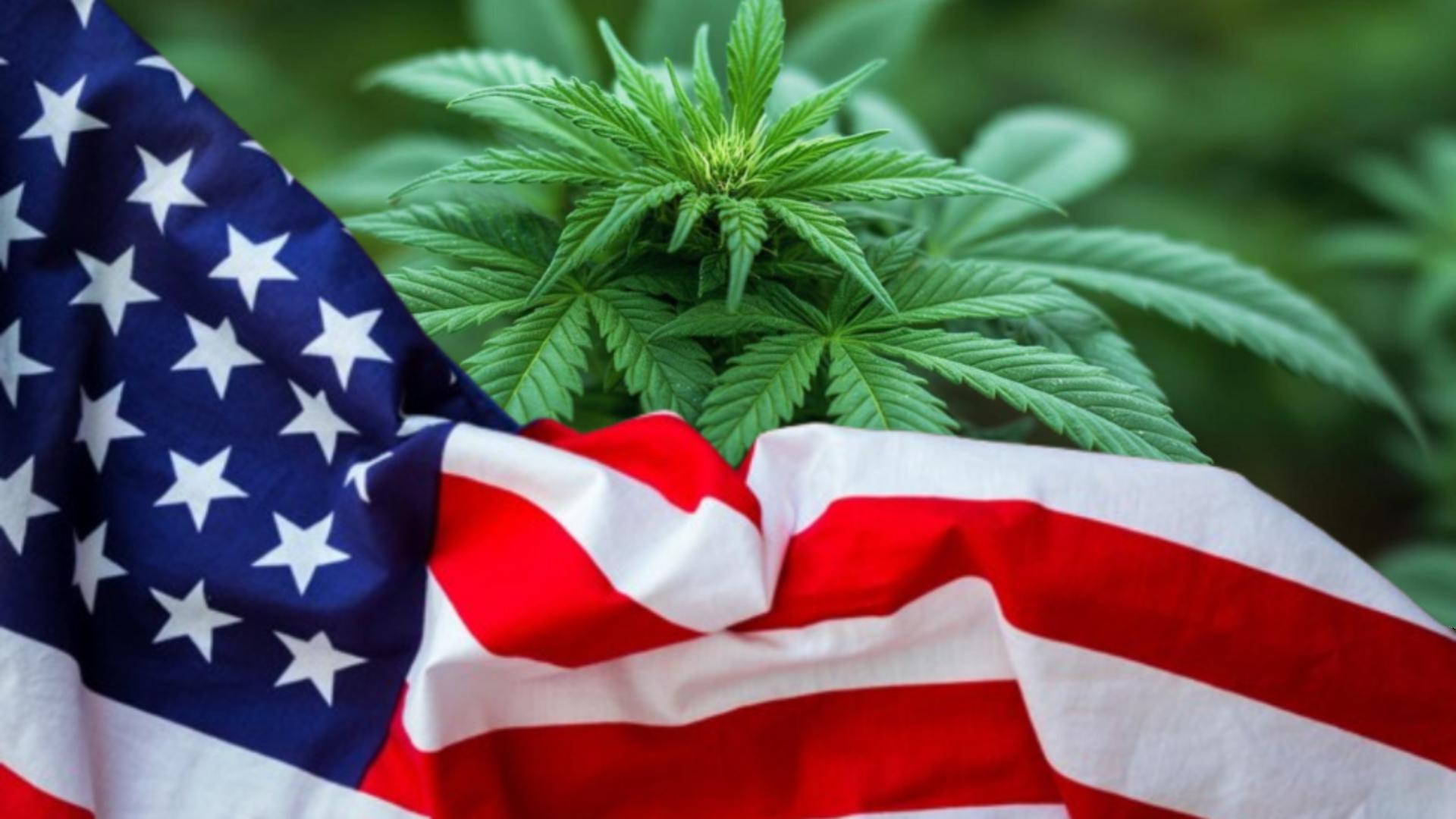 Administrația Trump face încă un pas spre dezincriminarea canabisului