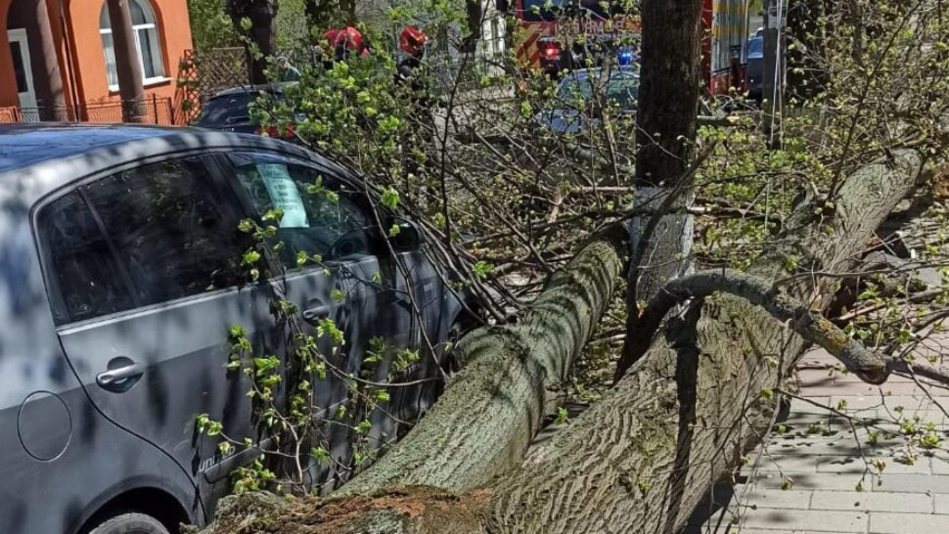 Sursă foto: ISU Botoșani
